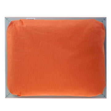 Orange Laptray for Kids - Dinosaur