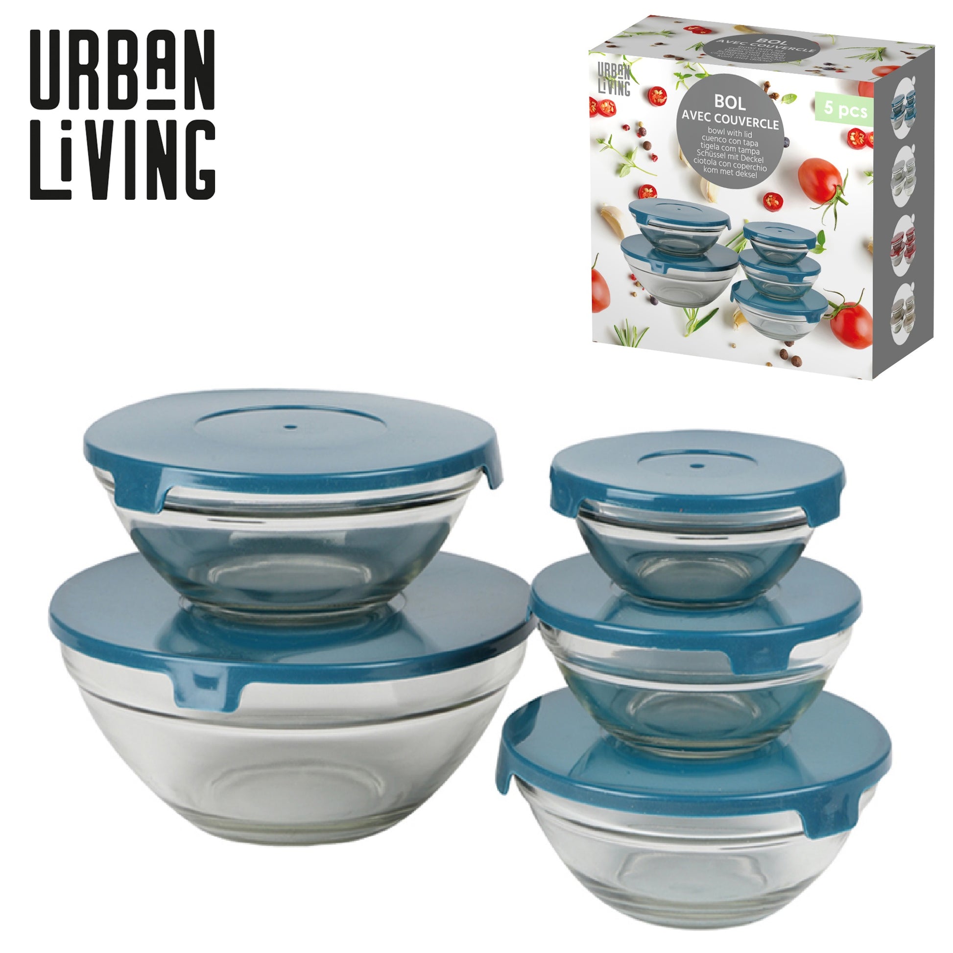 5pcs Storage Bowls with Teal Plastic Lid