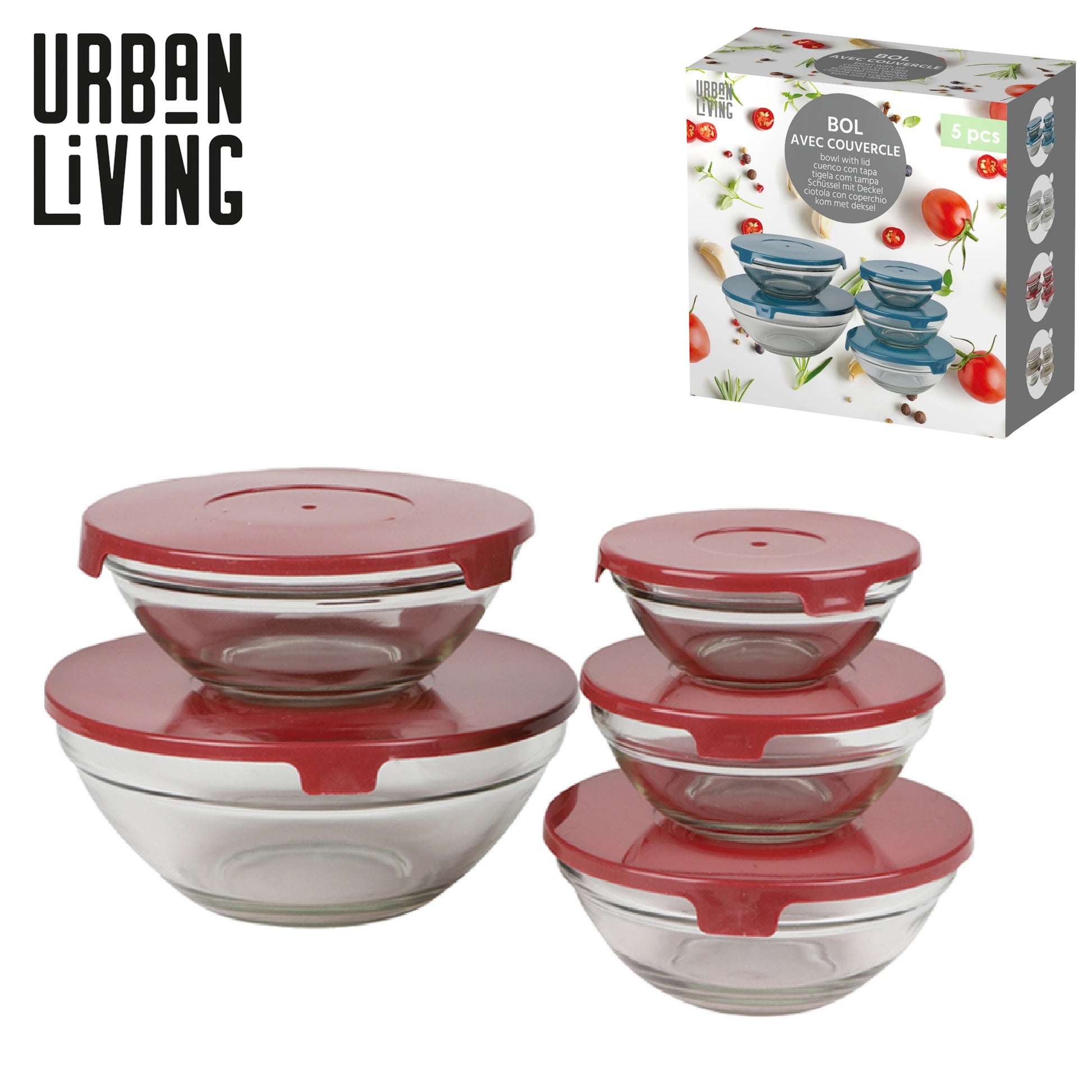 5pcs Storage Bowls with Burgundy Plastic Lid