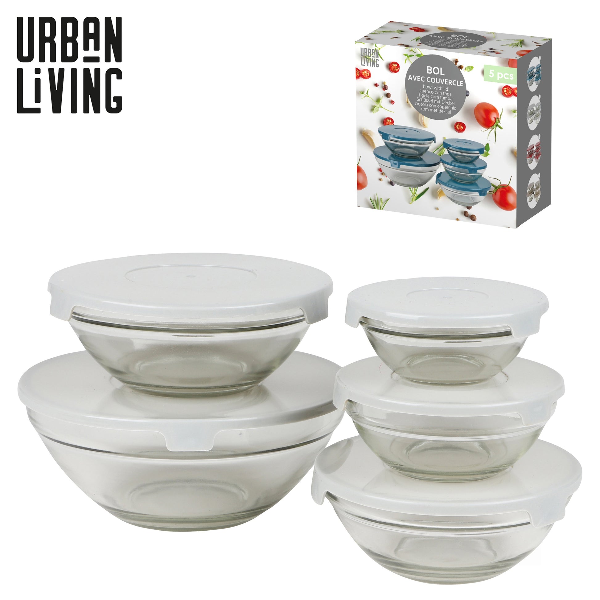 5pcs Storage Bowls with Grey Plastic Lid