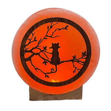 1.2kg Cat LED Salt Lamp