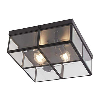 Pisa 2 Light Black & Clear Glass Flush