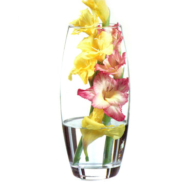 Pasabahce Flora 26cm Clear Glass Conical Vase