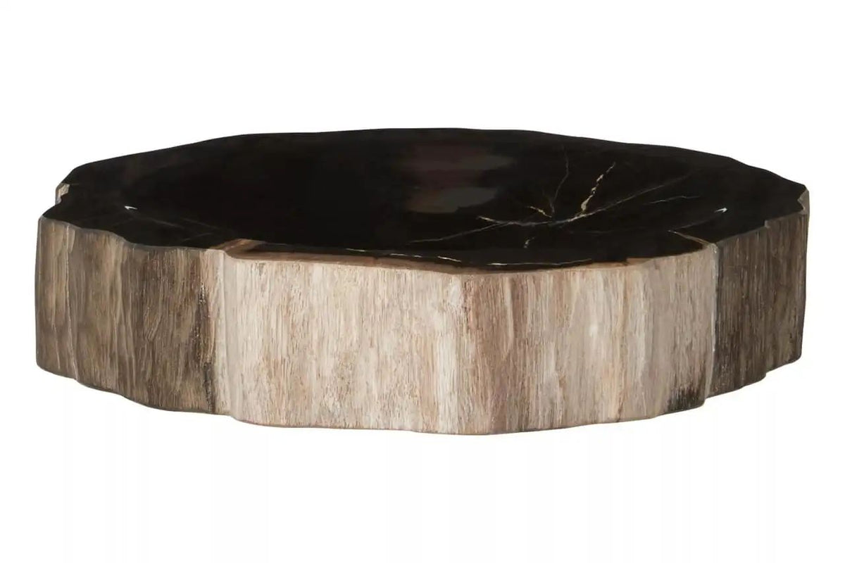 Alaric Petrified Wood Bowl