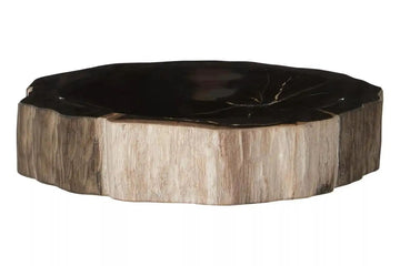 Alaric Petrified Wood Bowl