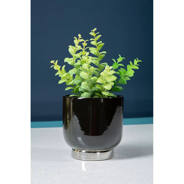 2Pc Cally Large & Small Black Silver Stoneware Planters