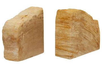 Alaric Set of 2 Petrified Wood Bookends