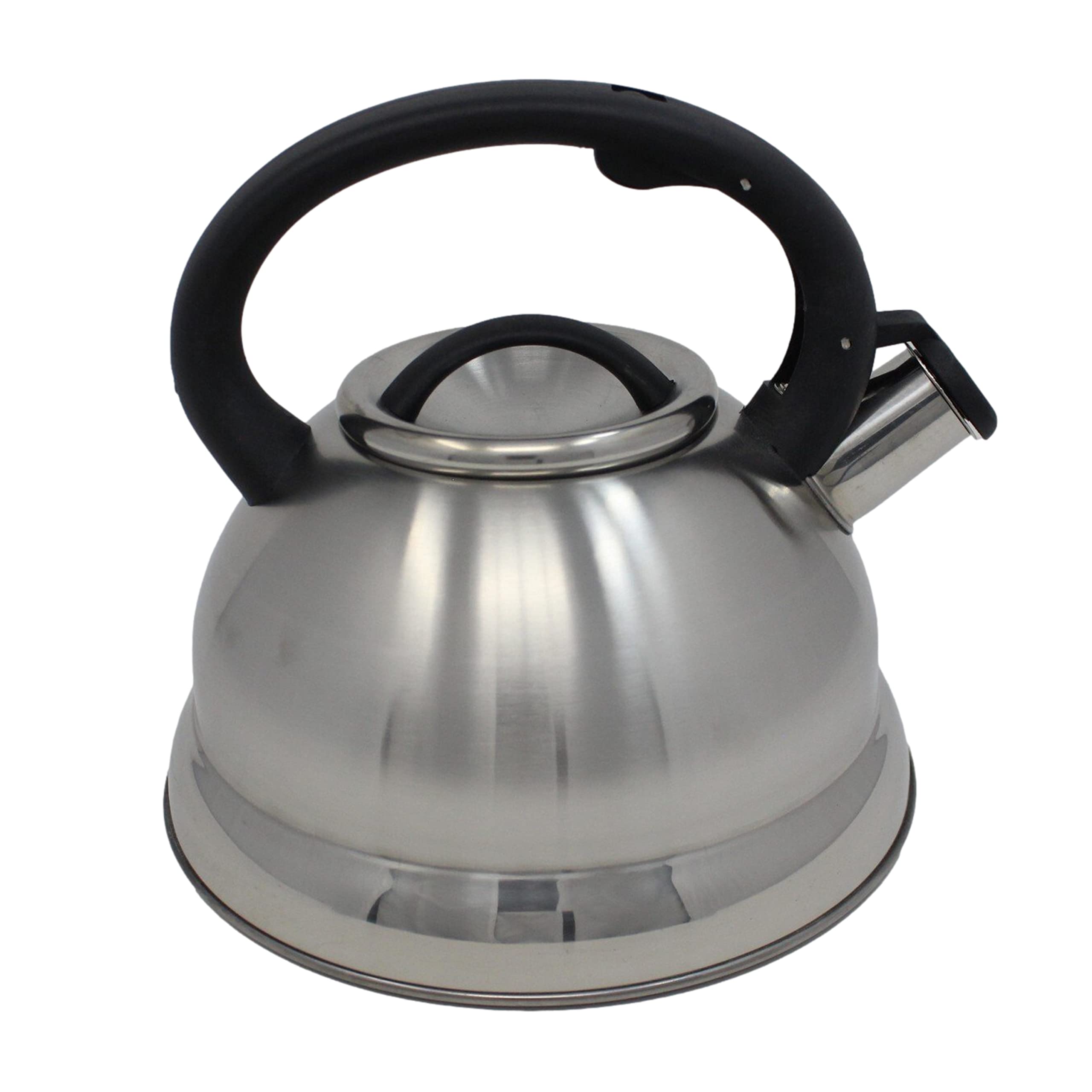 Stainless steel whistling tea hot sale kettle