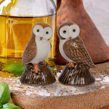 Ceramic Barn Owls Salt & Pepper Shakers