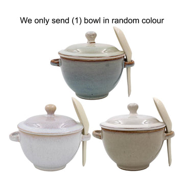 Reactive Glaze Soup Bowl with Lid & Spoon Gradient