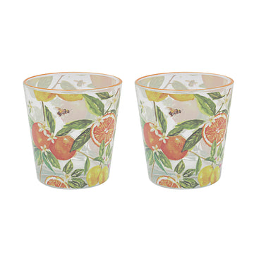 2Pcs Jennifer Rose's Oranges & Lemons Drinking Glasses Set