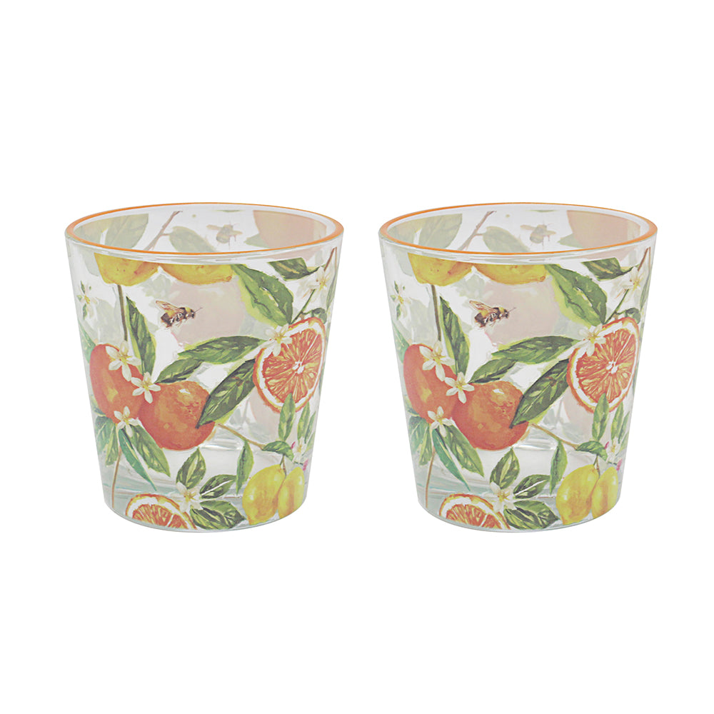 2Pcs Jennifer Rose's Oranges & Lemons Drinking Glasses Set