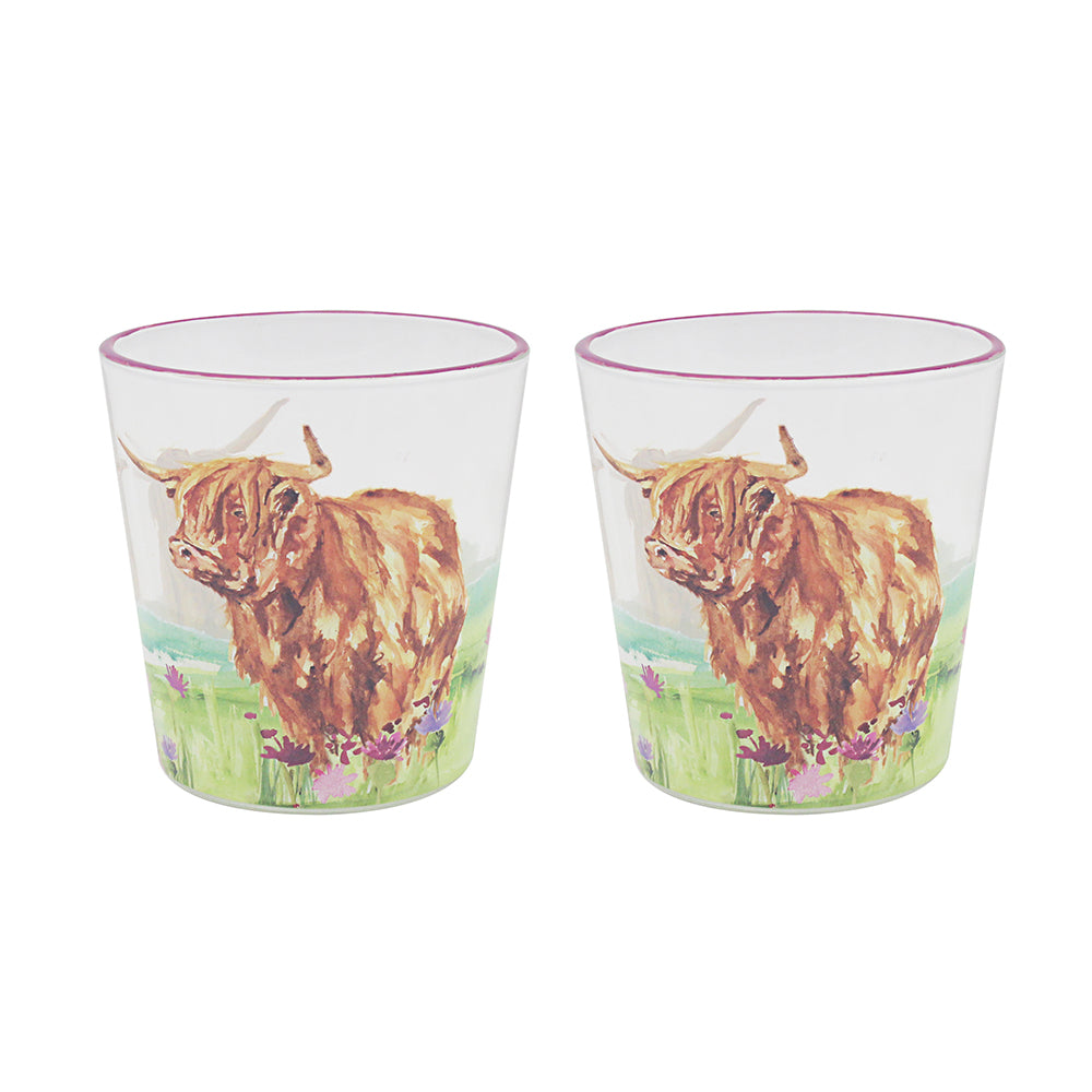 2Pcs Highland Cow Drinking Glasses Set