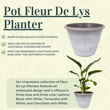 3Pcs 33cm Chocolate Brown Round Plastic Fleur De Lys Pot Planters
