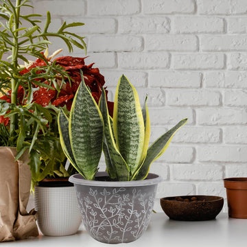 2Pcs 30cm Brown Serenity Stout Round Planter With White Wash Floral Design