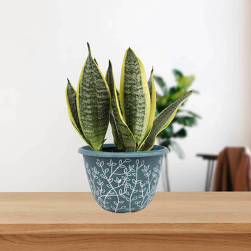 30cm Green Serenity Stout Round Planter With White Wash