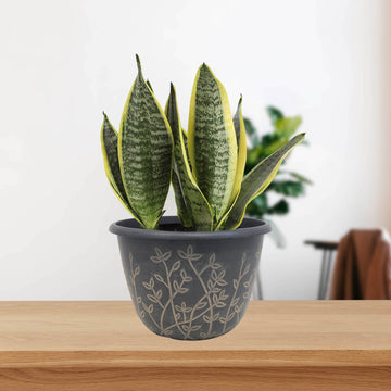 25cm Black Serenity Planter With Brown Wash Effect Floral Design
