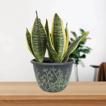 25cm Black Serenity Planter With Green Wash Effect Floral Design