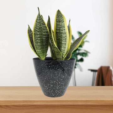 30cm Storm Grey Fusion Savannah Round Plastic Planter