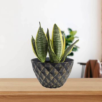 33cm Black Round Plastic Diamond Planter With Gold Brush
