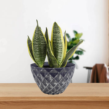 33cm Grey Round Plastic Diamond Planter With Silver Brush