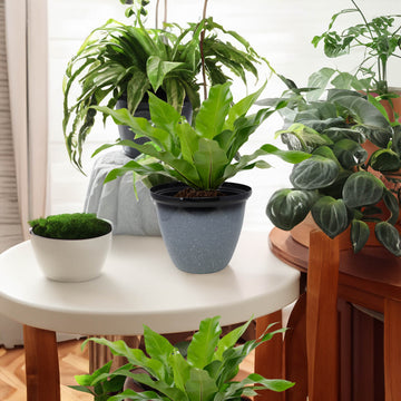 2Pcs 25cm Grey Gloss Round Plastic Honey Pot Planter
