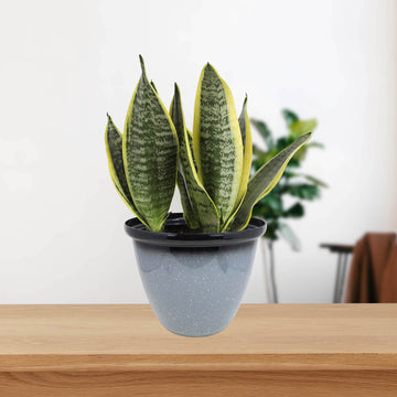 30cm Round Plastic Honey Pot Planter Grey Speckled Gloss