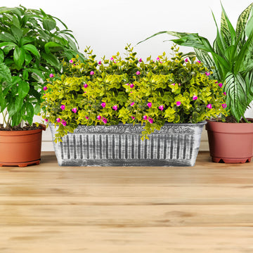 60cm Silver Plastic Trough Planter