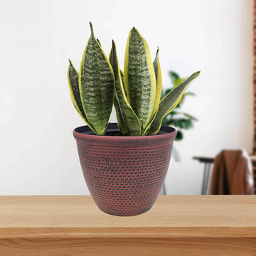 25cm Antique Copper Cromarty Plastic Planter