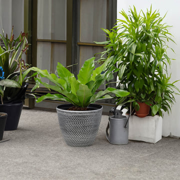 3Pcs 25cm Antique Silver Cromarty Plastic Planter