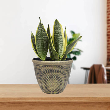 30cm Antique Gold Cromarty Round Plastic Planter