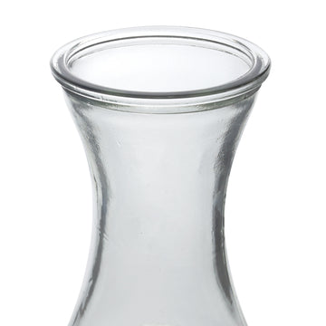 1L Clear Glass Water Decanter Carafe