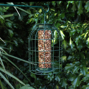 Hanging Squirrel Resistant Nut Bird Feeder Station