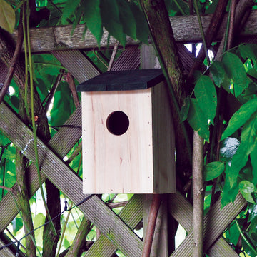 20cm Hinged Lid Wall Wood Bird House