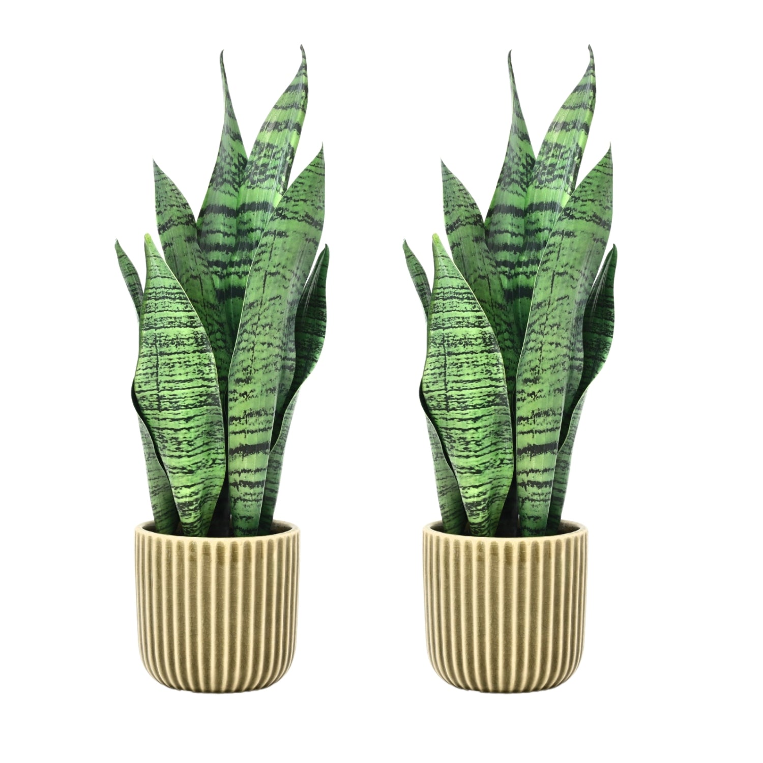 2Pcs Artificial Sansevieria Snake Plant In Green Ceramic Ribbed Pot