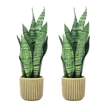 2Pcs Artificial Sansevieria Snake Plant In Green Ceramic Ribbed Pot