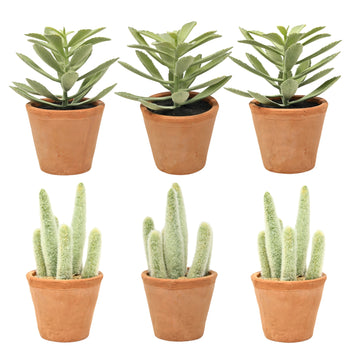 6Pcs Artificial Succulents In Terracotta Ceramic Pots