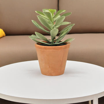 6Pcs Artificial Succulents In Terracotta Ceramic Pots