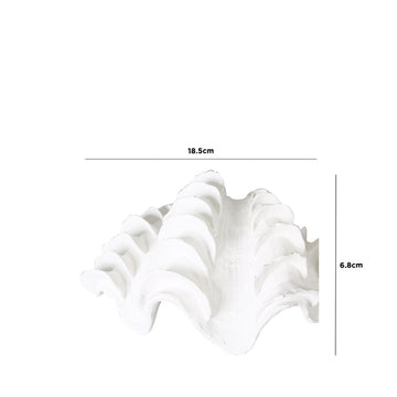 18.5cm White Shell Decoration