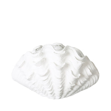 48cm White Shell Decoration