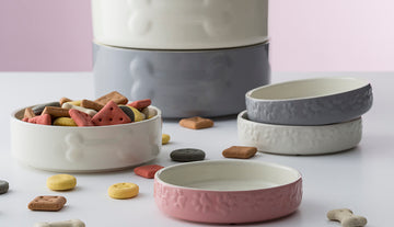 Mason Cash 13cm Pink Stoneware Bowl Pet Feeding Plate