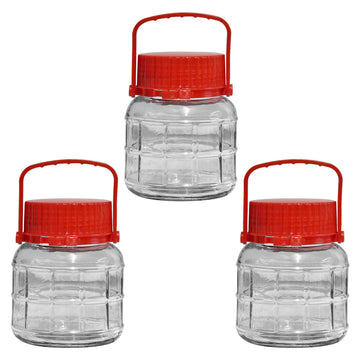 Set of 3 1L Glass Preserving Jars with Lid & Handle