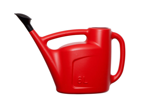 Red Plastic 6L Detachable Sprinkler Watering Can