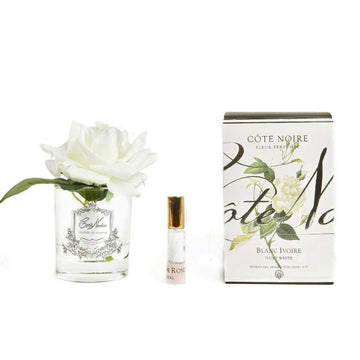 Cote Noire Perfumed Single Rose White Clear Gel Air Freshener