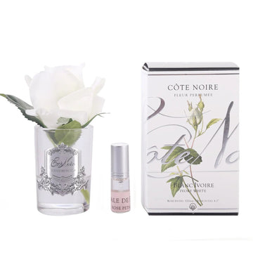 Cote Noire Perfumed Rose Bud White Clear Gel Air Freshener