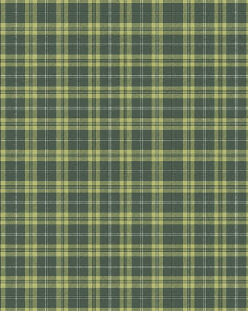 Highland Tartan Check Flannel Blanket Throw, 120x150cm, Green