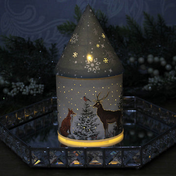 LED Light Up House 21cm - STAG