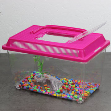 Pink Plastic Aquarium Fish Breeding Tank
