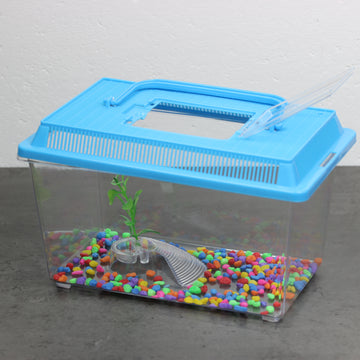Blue Plastic Aquarium Fish Breeding Tank
