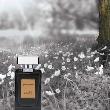 30 ml Jenny Glow Eau De Parfum Amber Oud Ginger Lily Scent